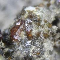 Grossular & Andradite