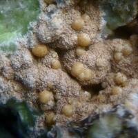 Vanadinite & Phosphohedyphane
