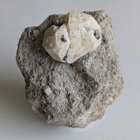 Leucite & Augite