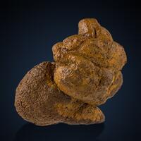 Coprolite