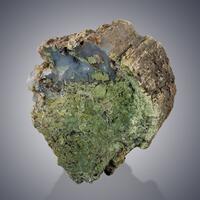 Fossil & Quartz