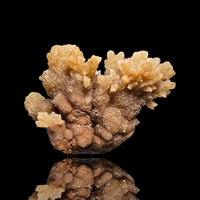 Aragonite & Calcite