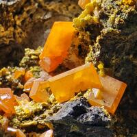 Wulfenite On Galena