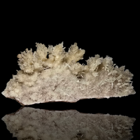 Aragonite