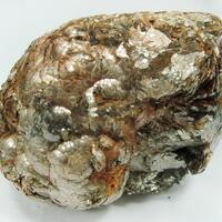 Muscovite