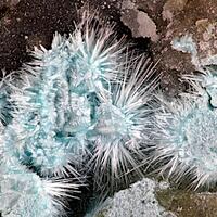 Nevadaite