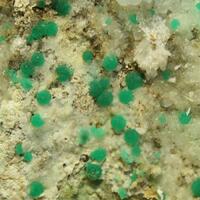 Cuprian Adamite & Cuprian Aragonite