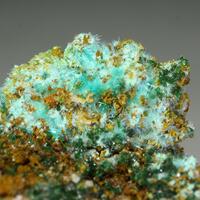 Mixite & Cuprian Adamite