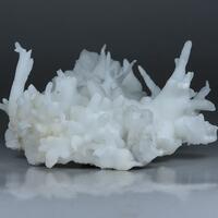 Aragonite Var Flos Ferri