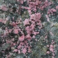 Erythrite