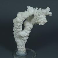 Aragonite