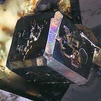 Perovskite & Melanite