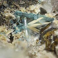 Fluorapatite