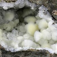 Mesolite Natrolite Thomsonite-Ca & Chabazite-Na
