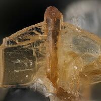 Låvenite Wöhlerite Epitaxial