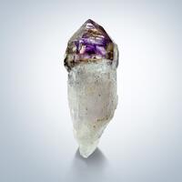 Quartz Var Sceptre Amethyst