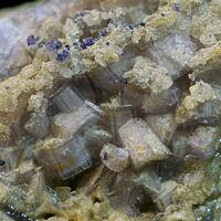 Apatite With Fluorite