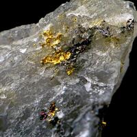 Native Gold In Quartz
