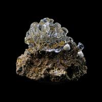 Opal Var Hyalite & Staffelite