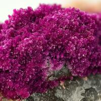 Cobaltkoritnigite