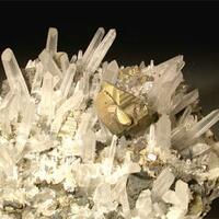 Chalcopyrite & Quartz