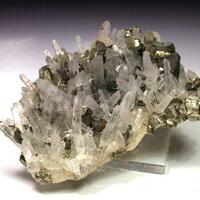 Quartz Pyrite & Tetrahedrite