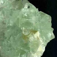 Scheelite & Fluorite