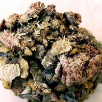 Molybdite