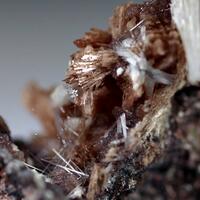 Inesite Tobermortite & Natrolite