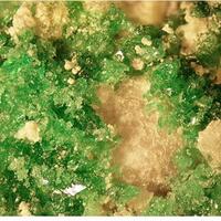 Natrochalcite