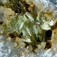 Ferrisurite