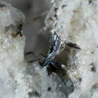 Mendigite