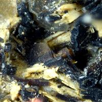 Lileyite