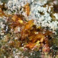 Fourmarierite