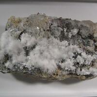 Picropharmacolite