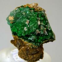 Conichalcite