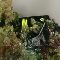 Molybdofornacite