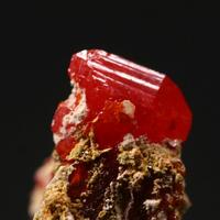 Wulfenite