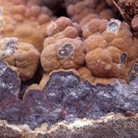 Schalenblende & Jordanite