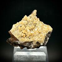 Mimetite