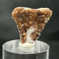 Natrolite & Calcite & Petrified Wood