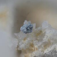 Kolbeckite
