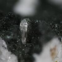 Fluorapatite & Titanite