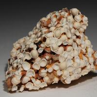 Aragonite Var Pisolite
