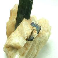 Elbaite With Tantalite & Feldspar