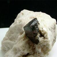 Tantalite-(Mn)