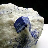 Lazurite Psm Phlogopite With Pyrite