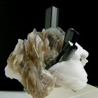 Schorl With Muscovite & Microcline