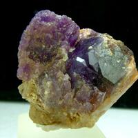 Sodalite Var Hackmanite With Winchite