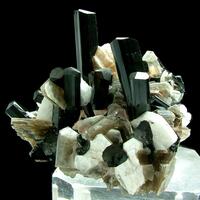 Tourmaline Var Schorl With Muscovite